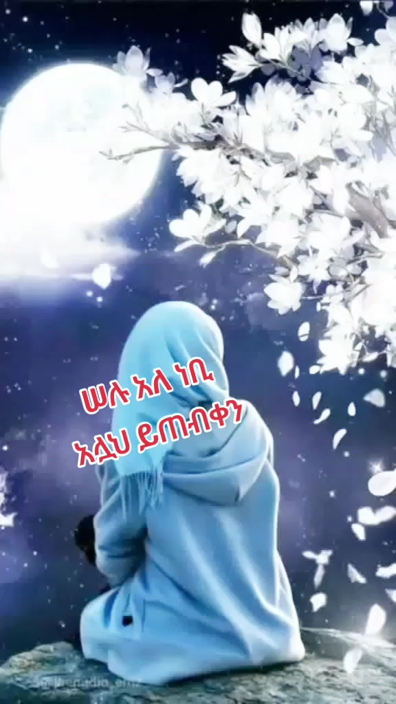 @AMINA BANT SEAD