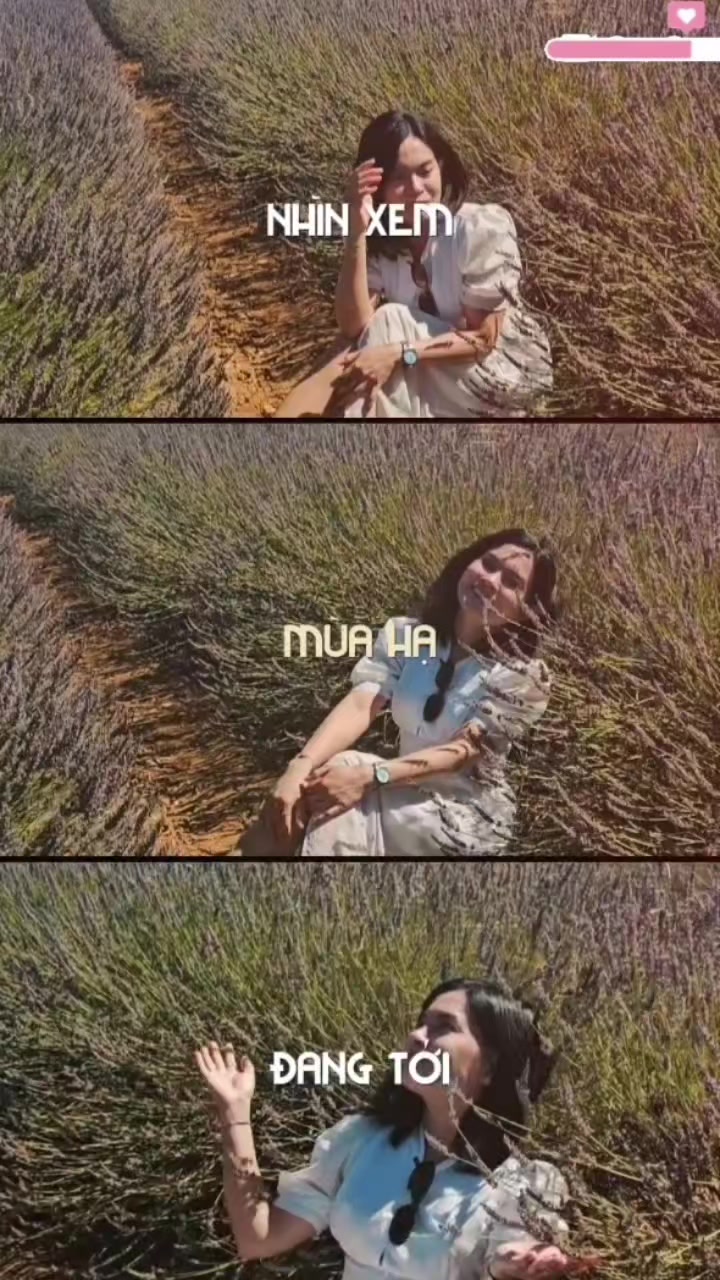 @ChauBui_Phap