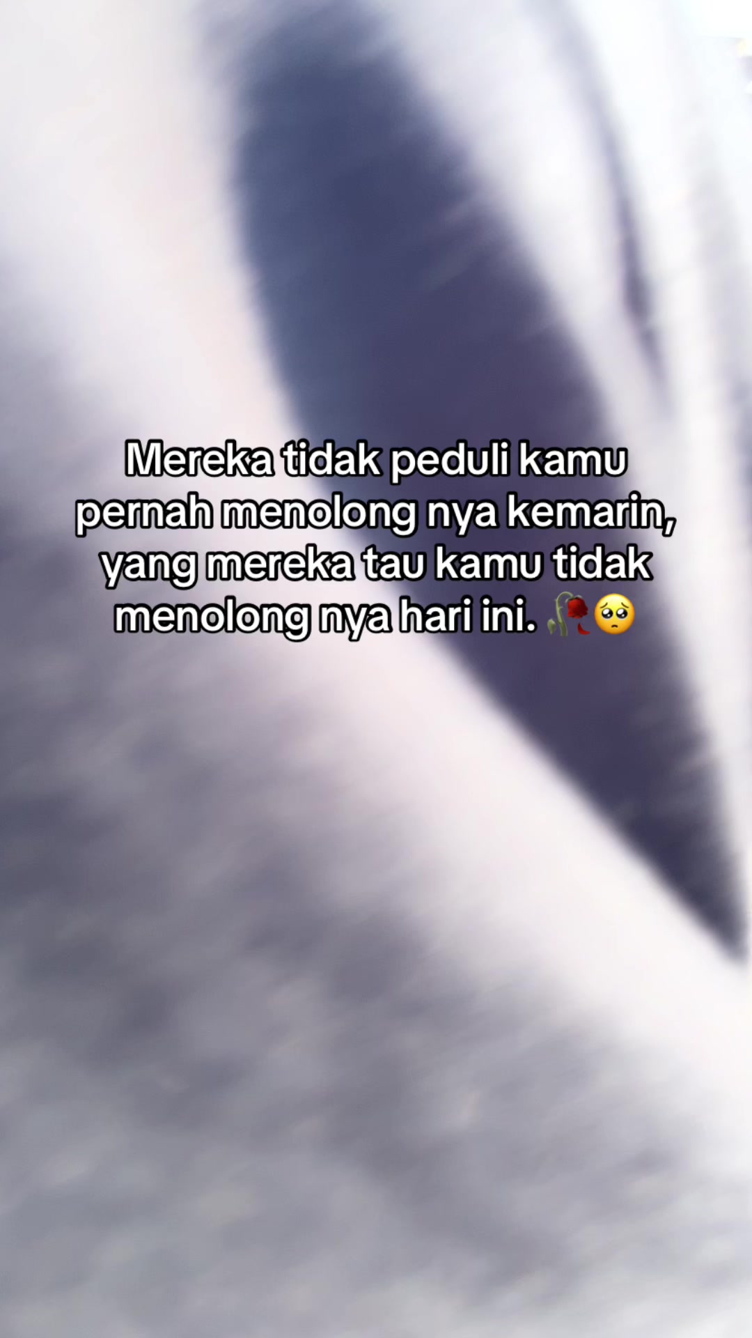 @Suci Nur Intan Pjt