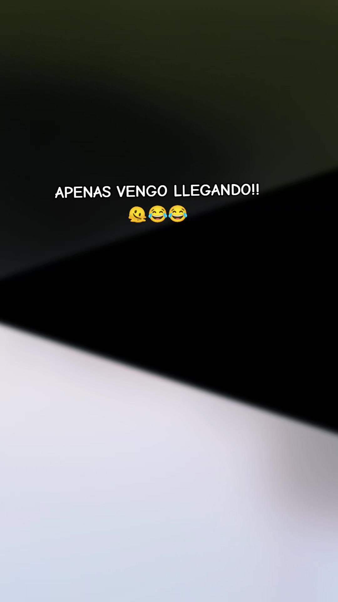 @osito alokadito 🙃🧸