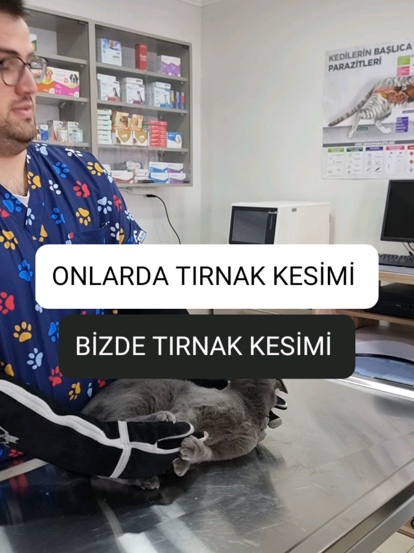 @kedichico