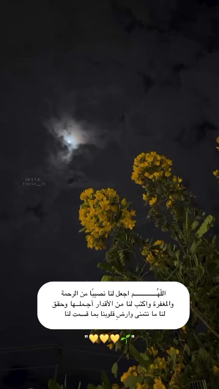 @مُصـممة | تـوسا 𐙚