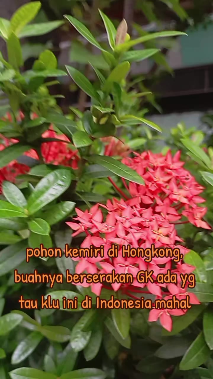 @Nooraini_Aini