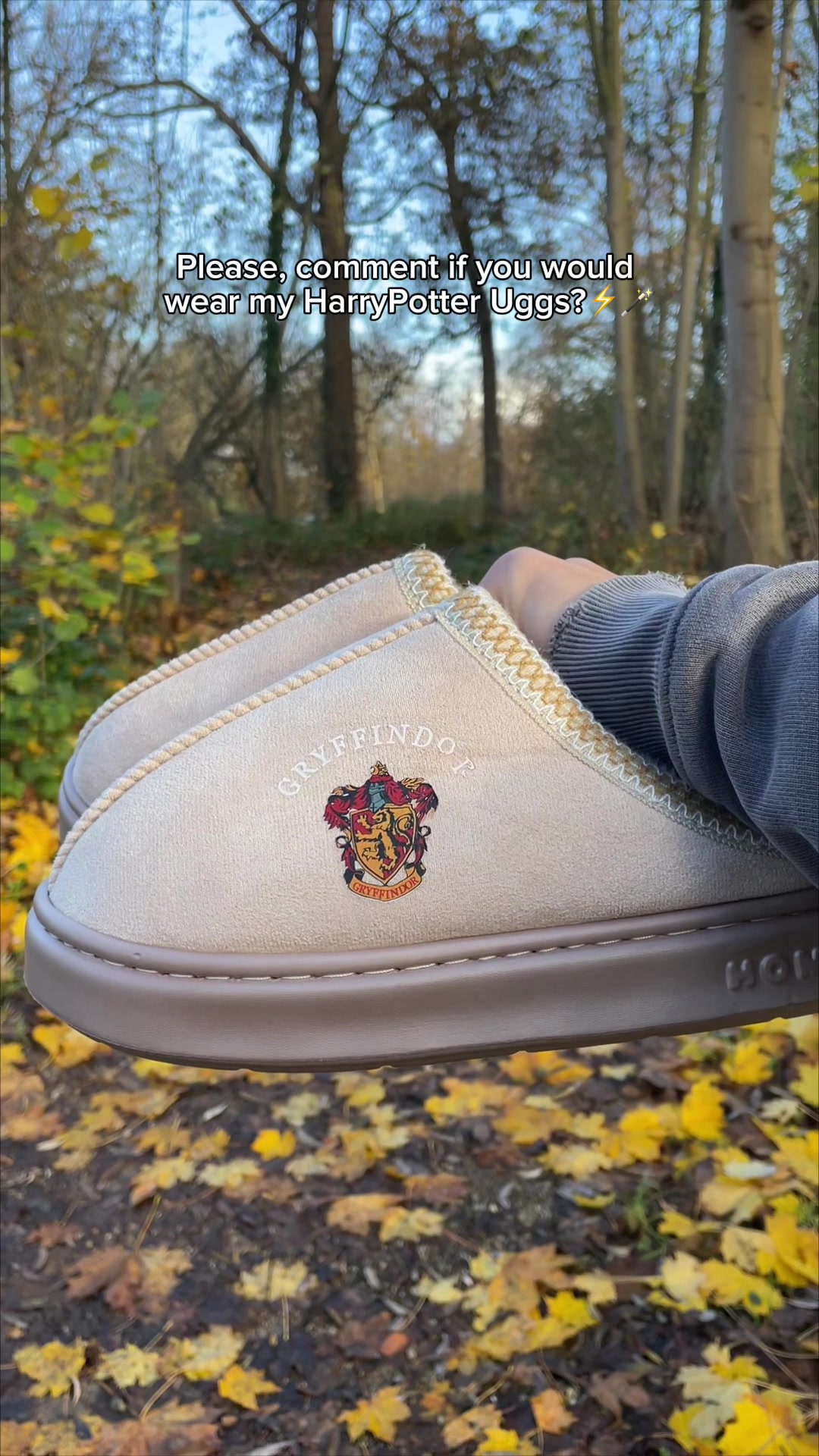 @PotterSlides
