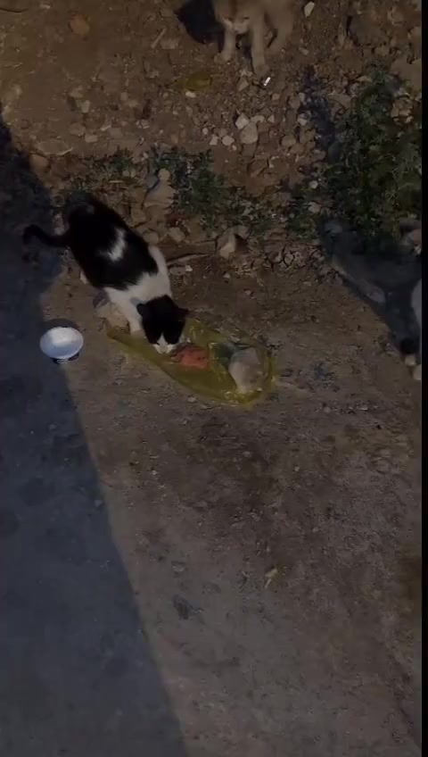 @قصص واقعيه