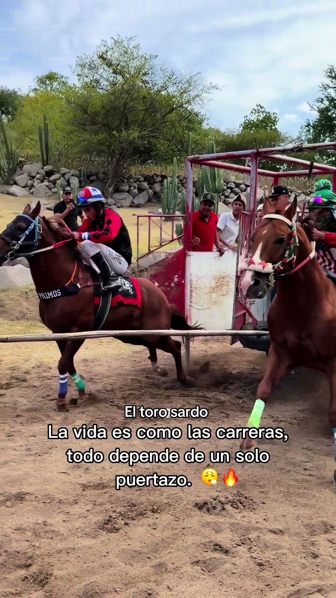@El Toro Sardo