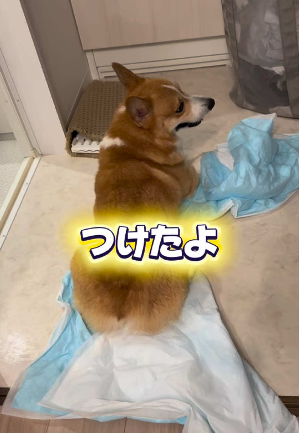 @トロン