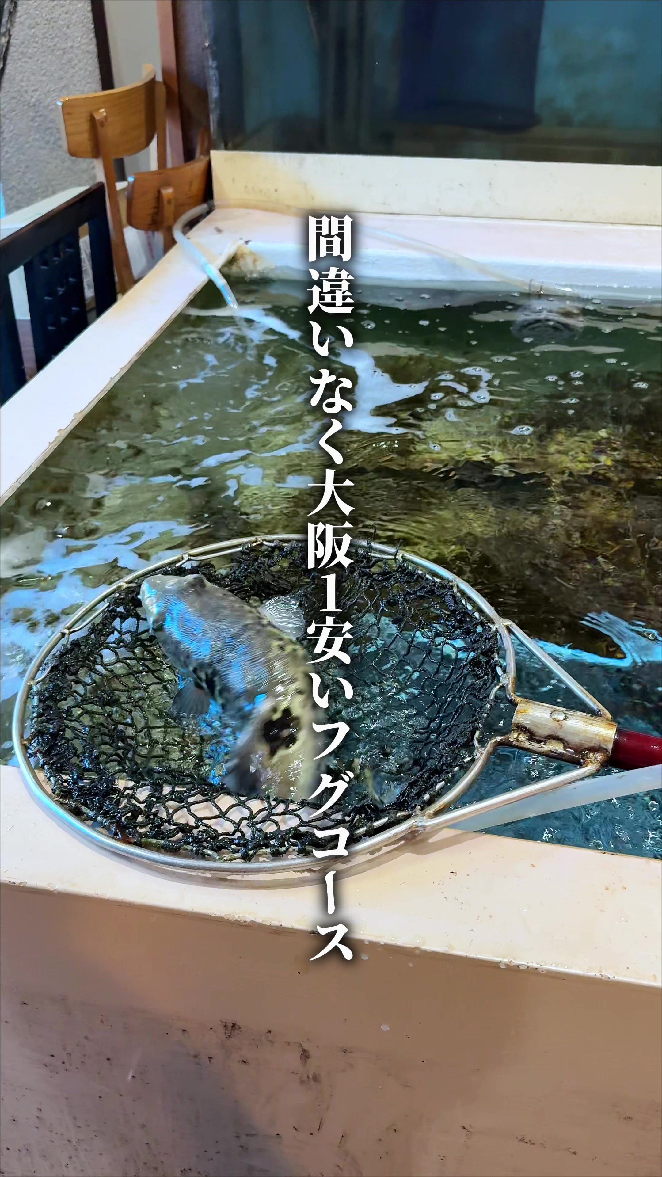 @ひろと / 大阪発!関西トレンド独占旅🔥