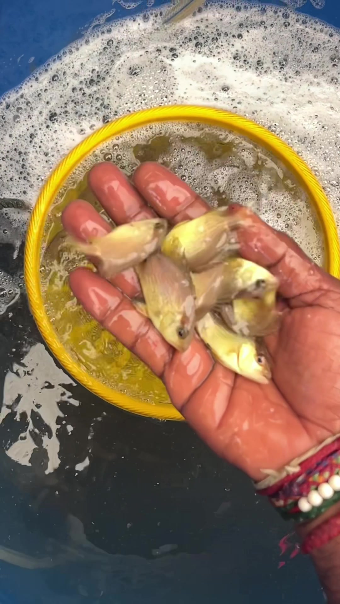 @விஷ்வா @ விச்சு 18