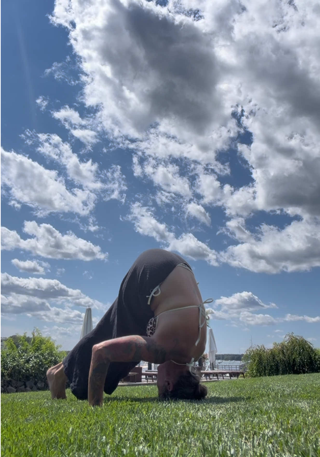 @gardengirl8440