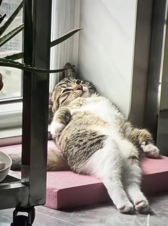 @FluffyTales