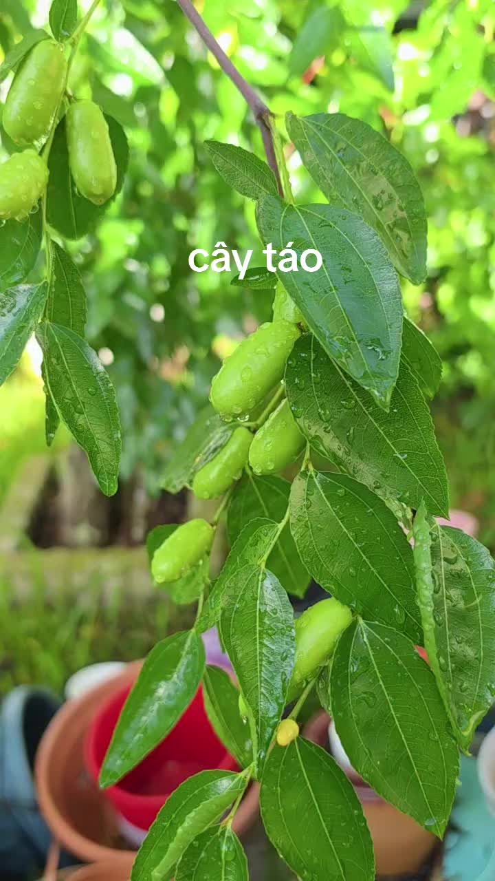 @Autumn