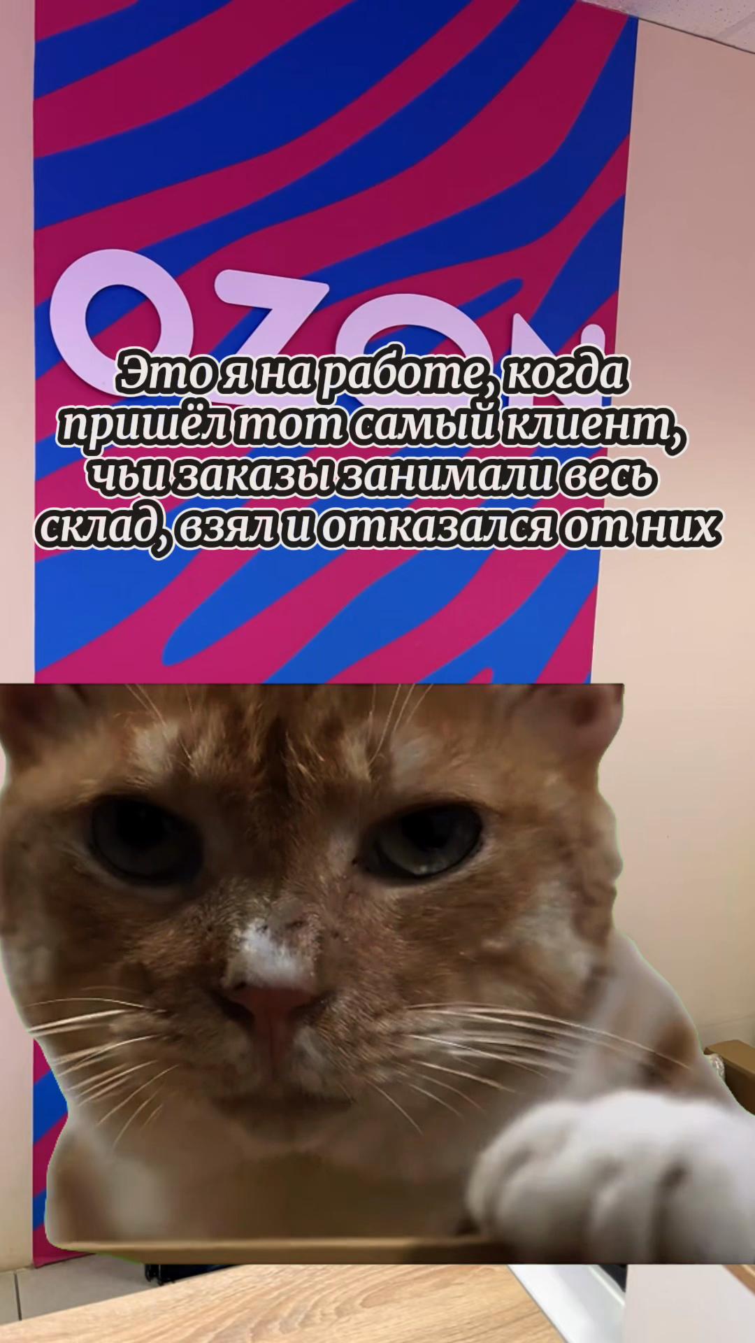 @shaba_010