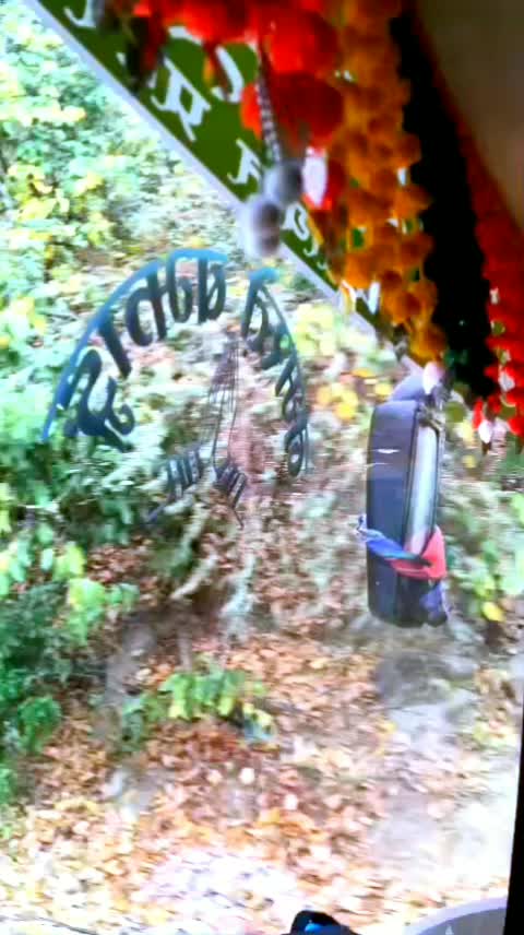 @krishna saud123