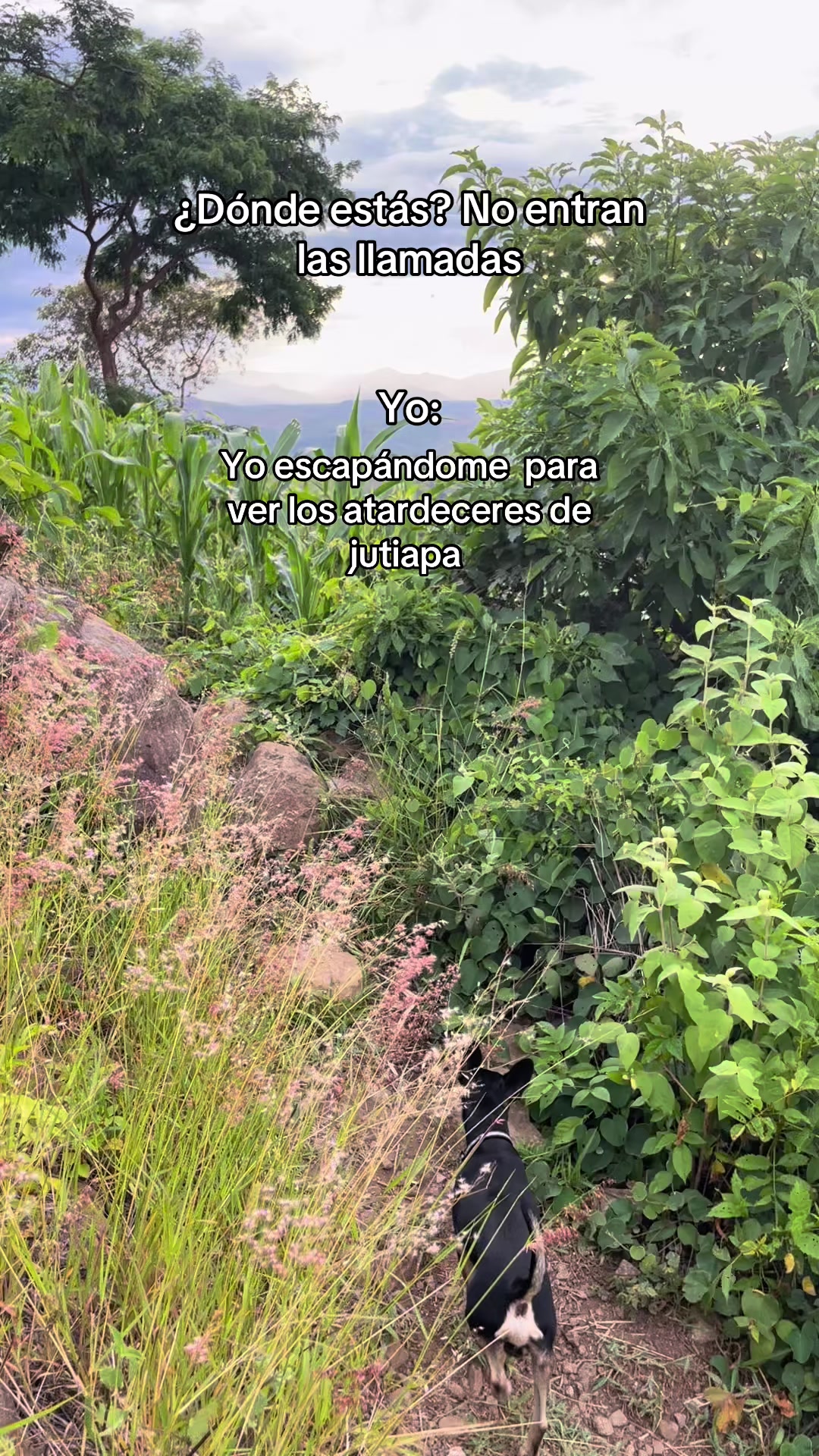 @Daly 2Ramos🧿🔮