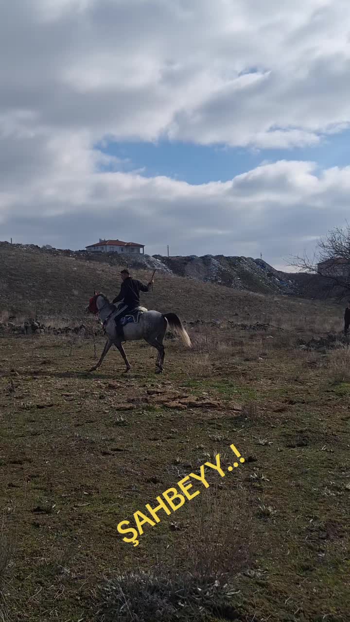 @H&uuml;seyin.cıbır