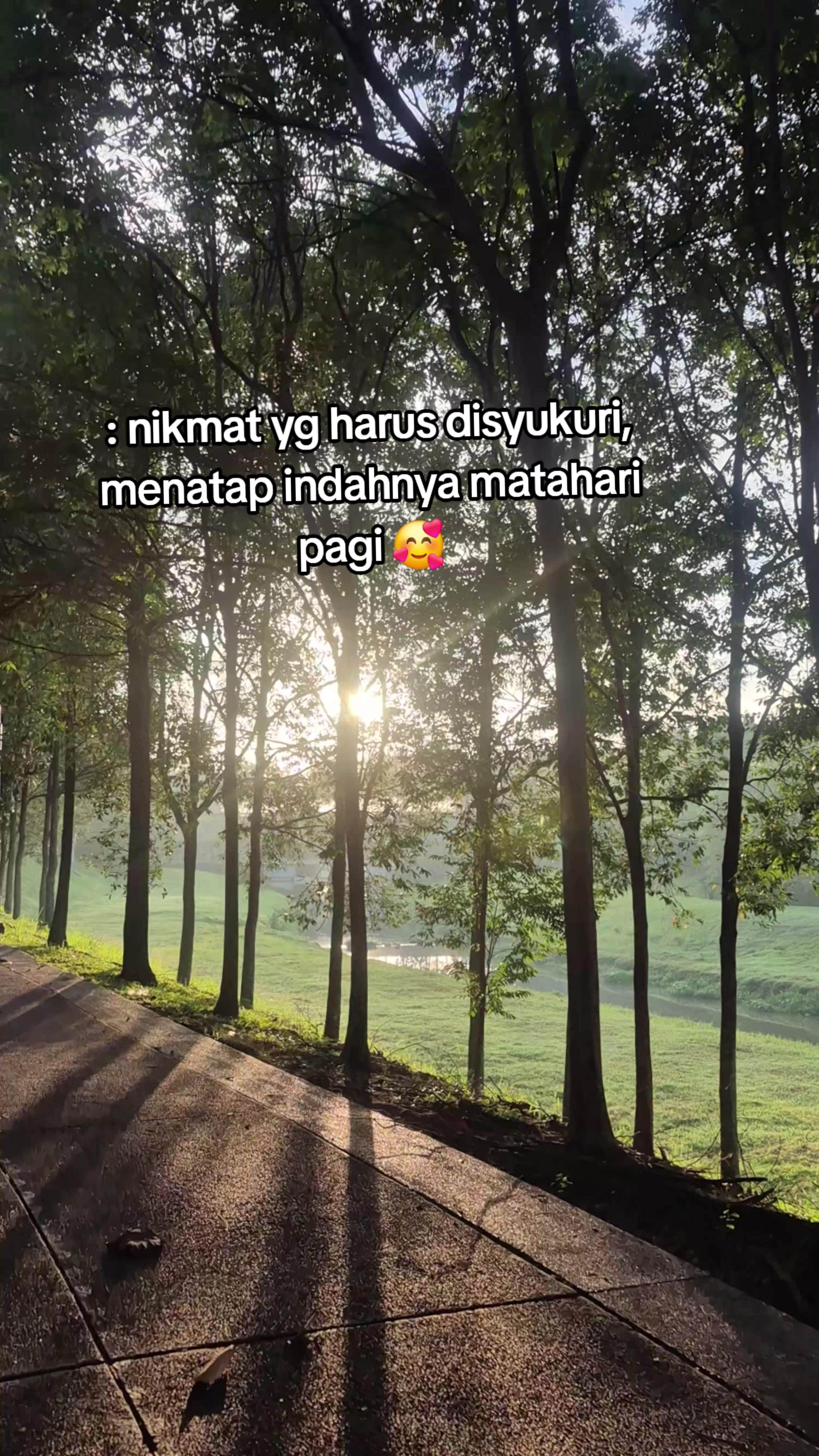 @idamunif80
