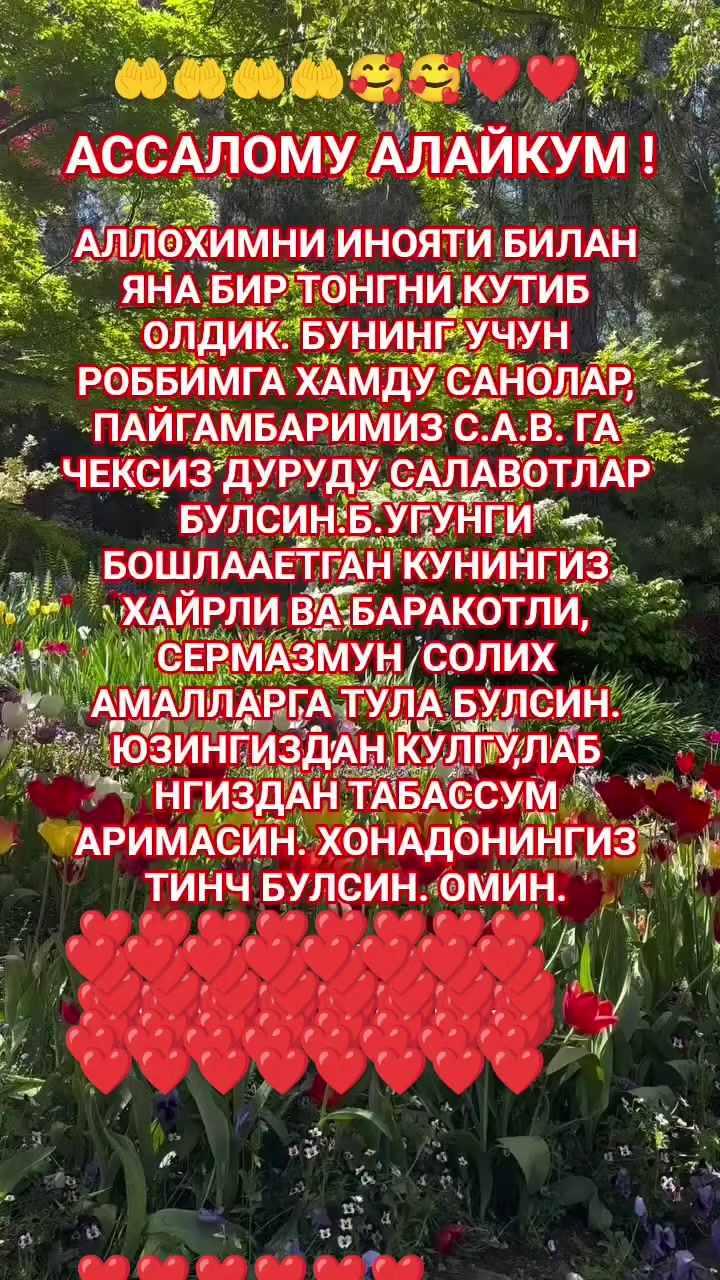 @саня саша