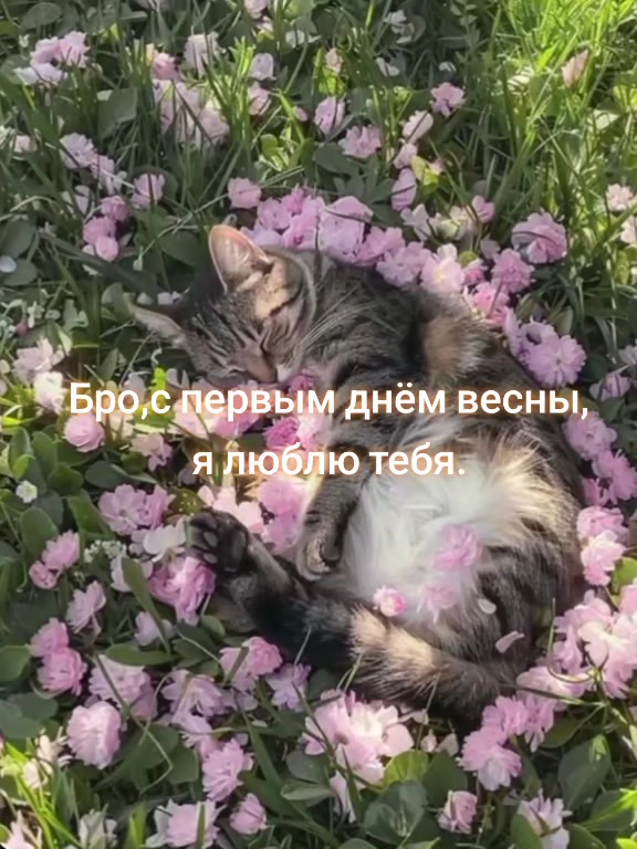 @♱︎✧︎𝖃𝖊𝖑𝖒𝖊𝖓✧︎♱︎