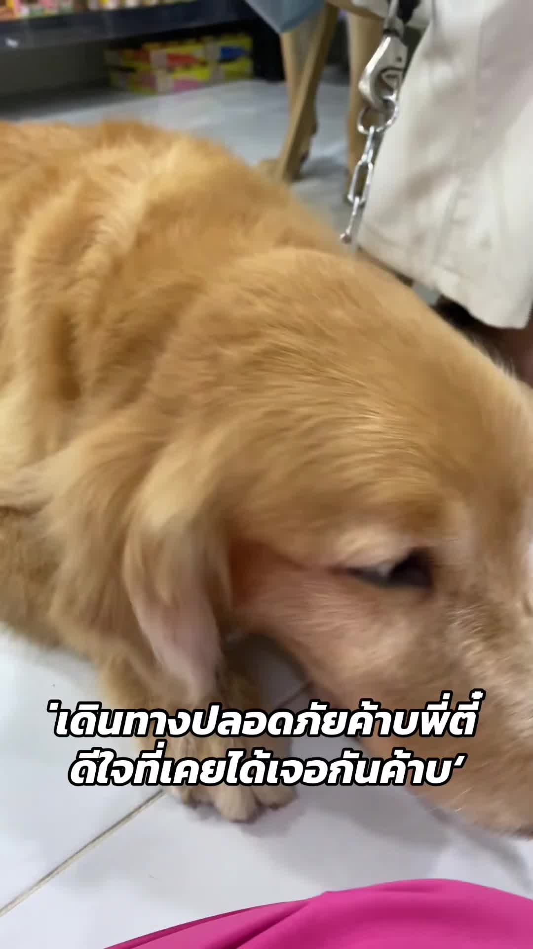 @beam_ntppk