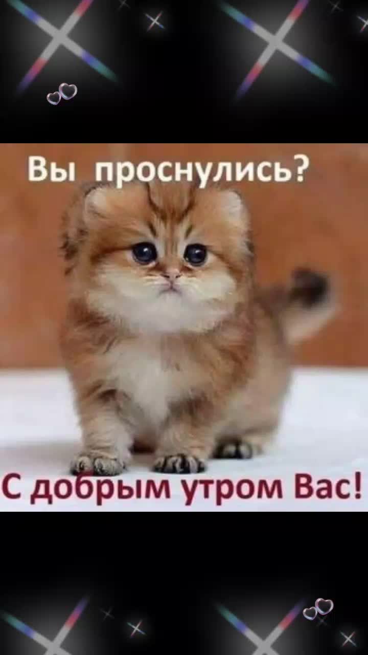 @Елена