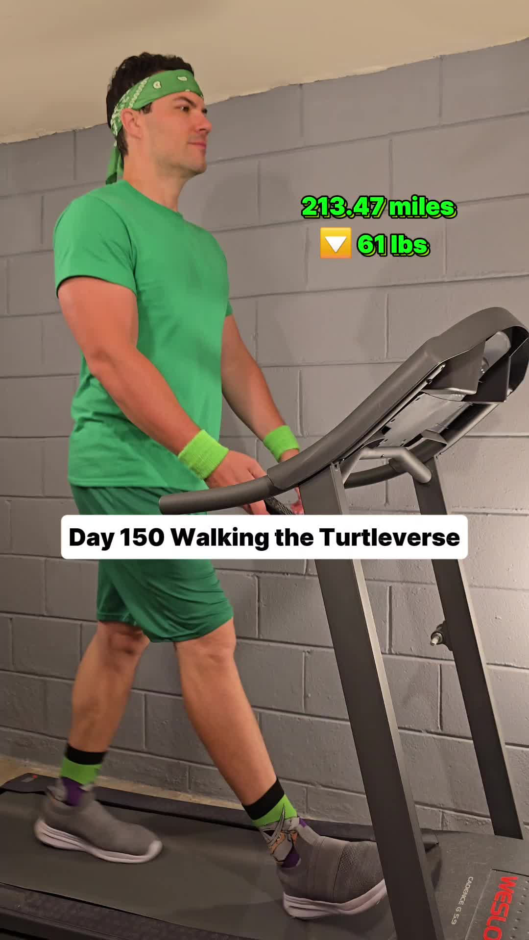 @Walking the Turtleverse