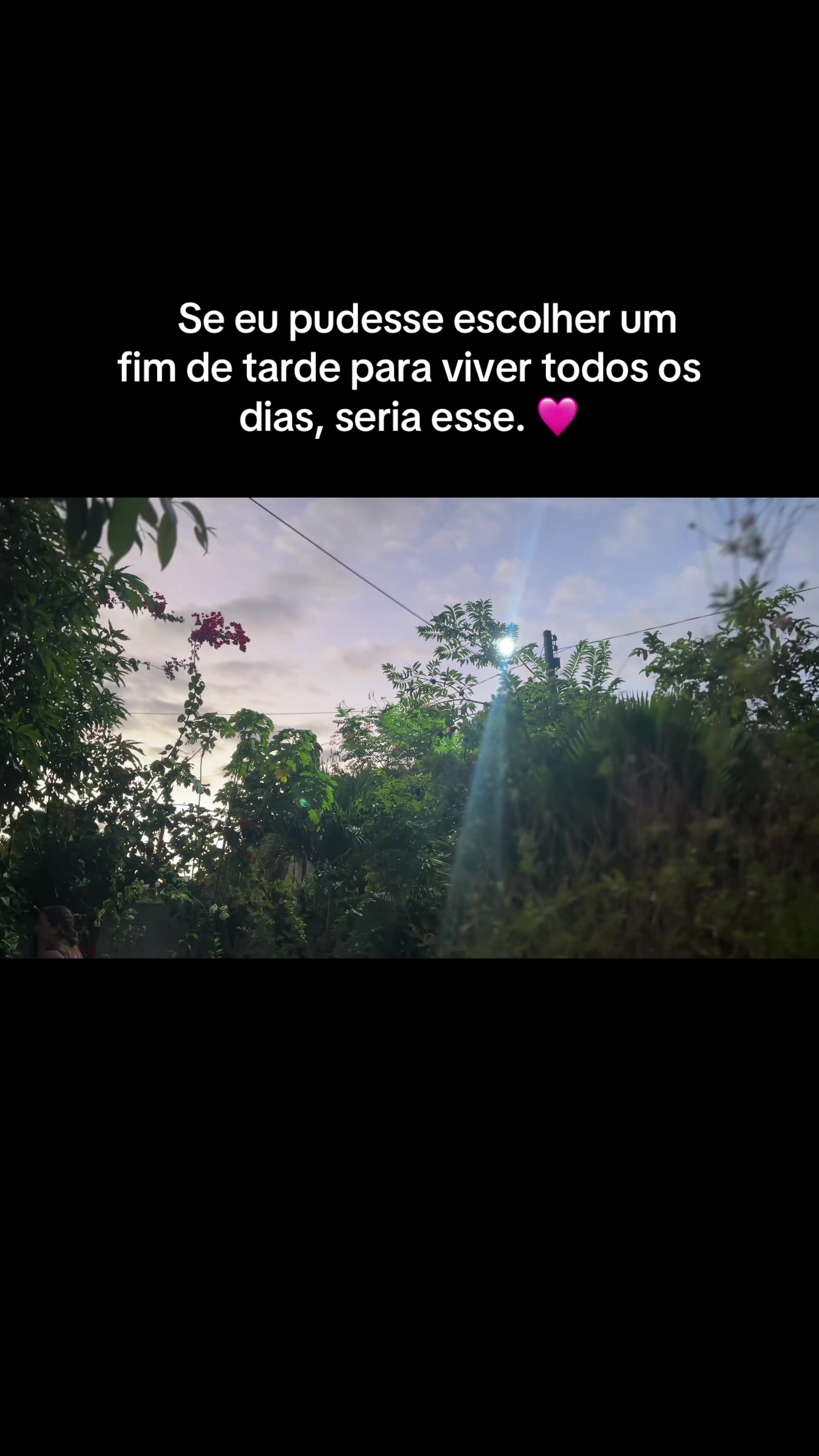 @Melissa Mota