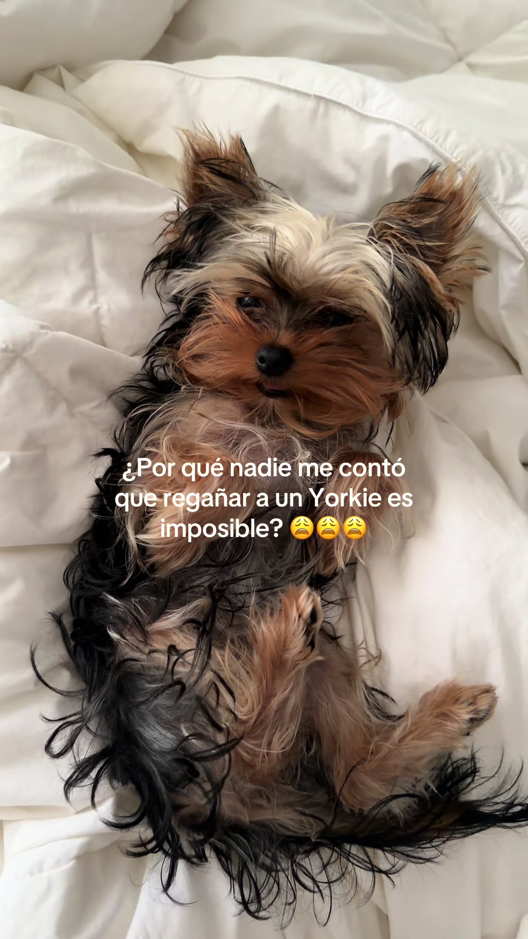 @Pam Rocha
