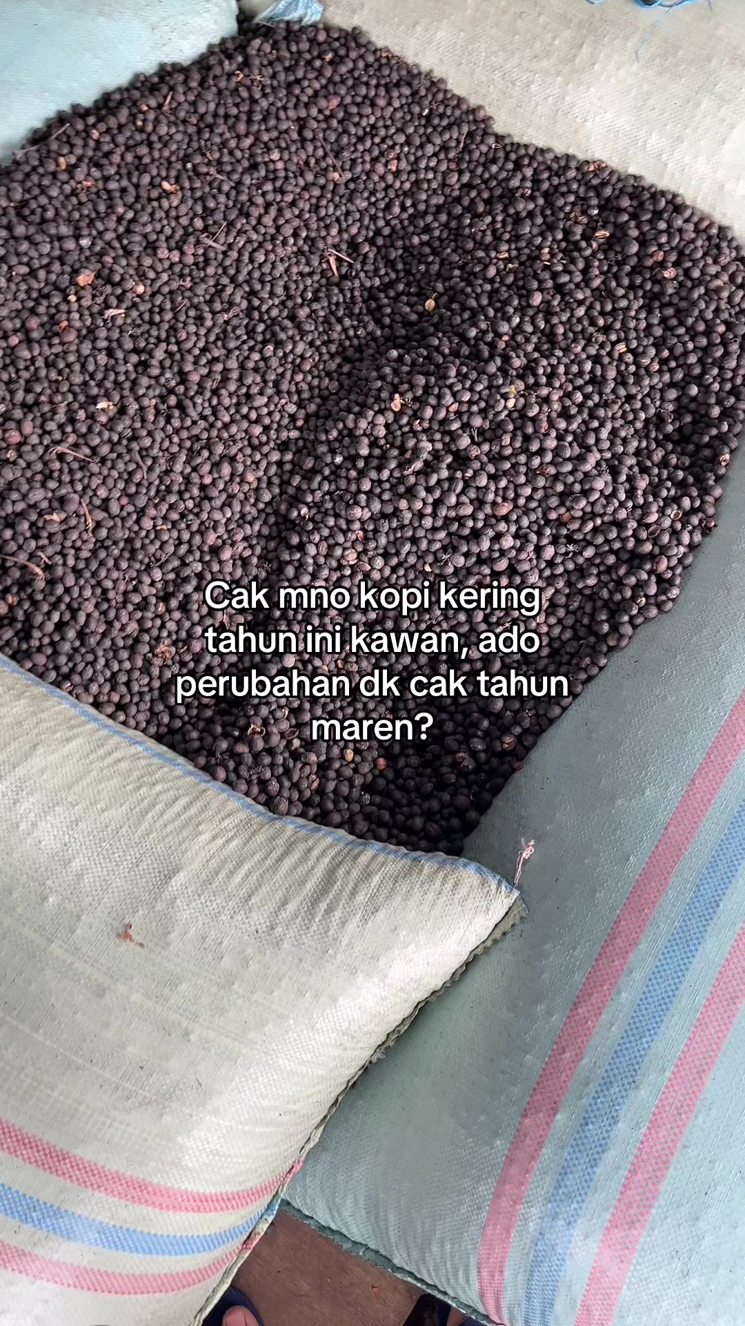 @LembakGreenbean