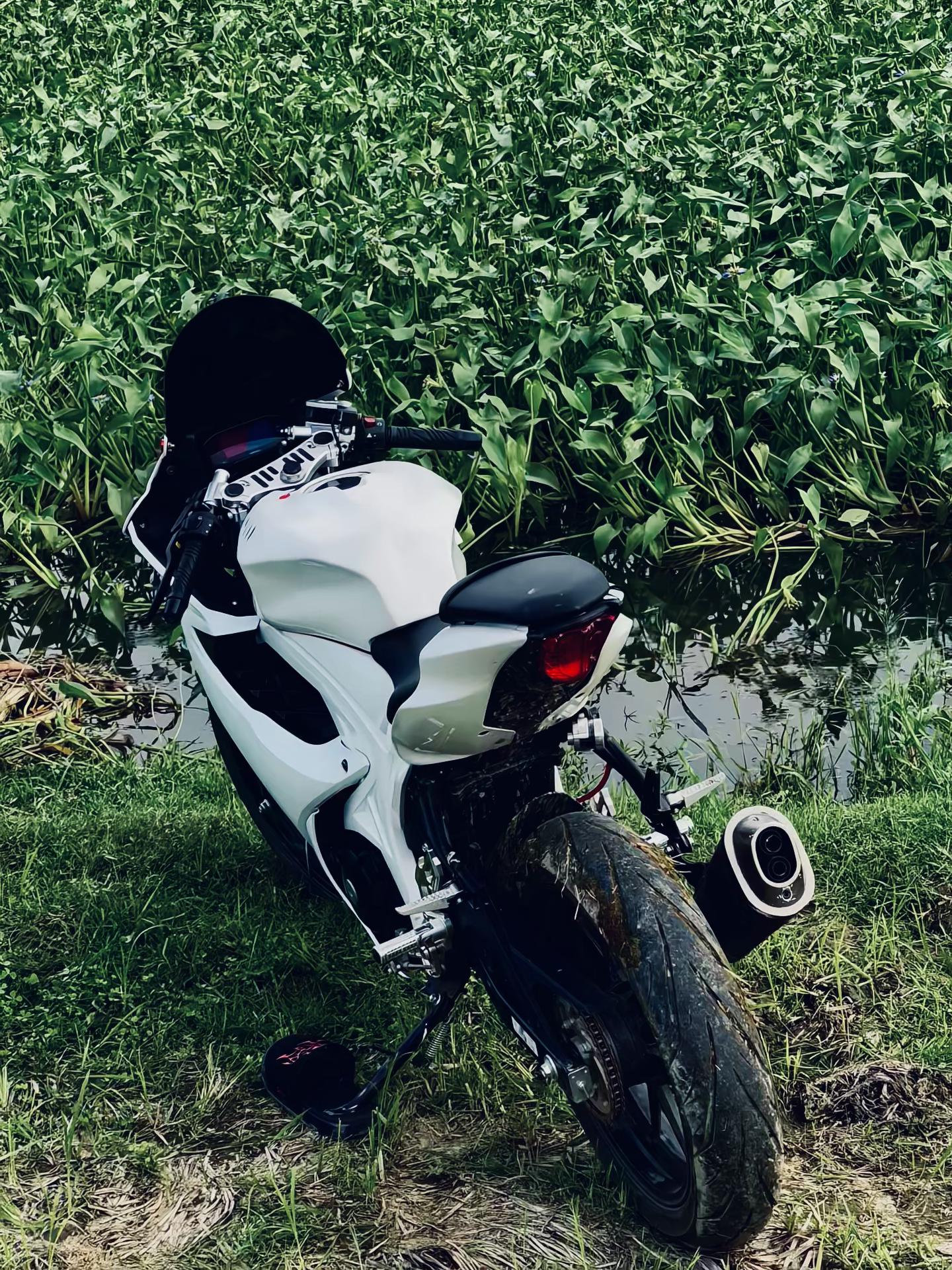 @ʀᴇᴅ ᴄʜᴇʀʀʏ 💋