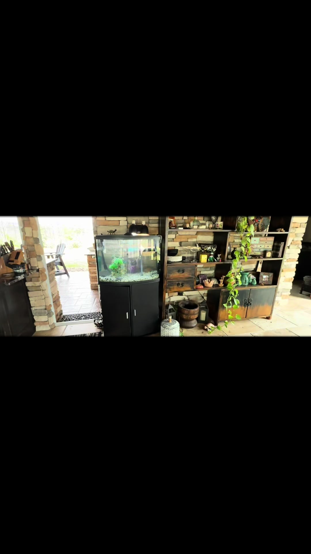 @aquarium_maintenance