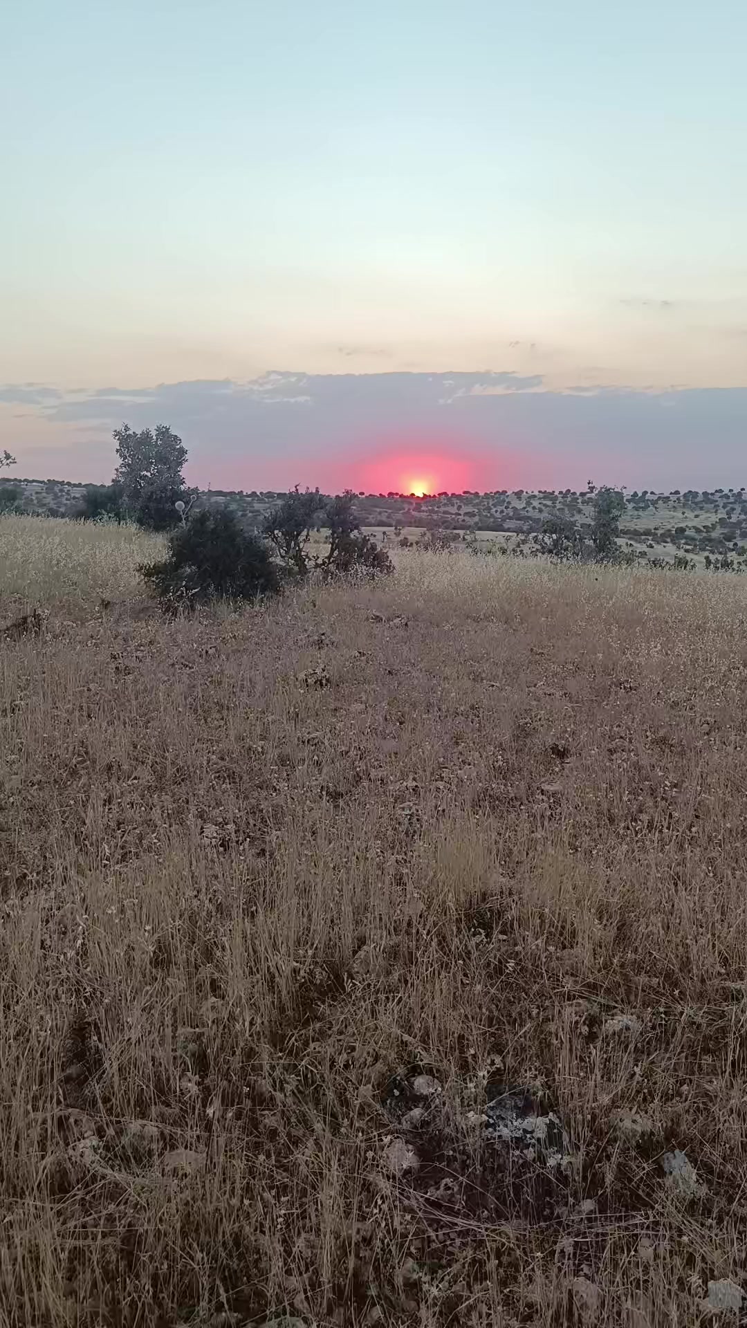 @Abdurrahim g&uuml;l