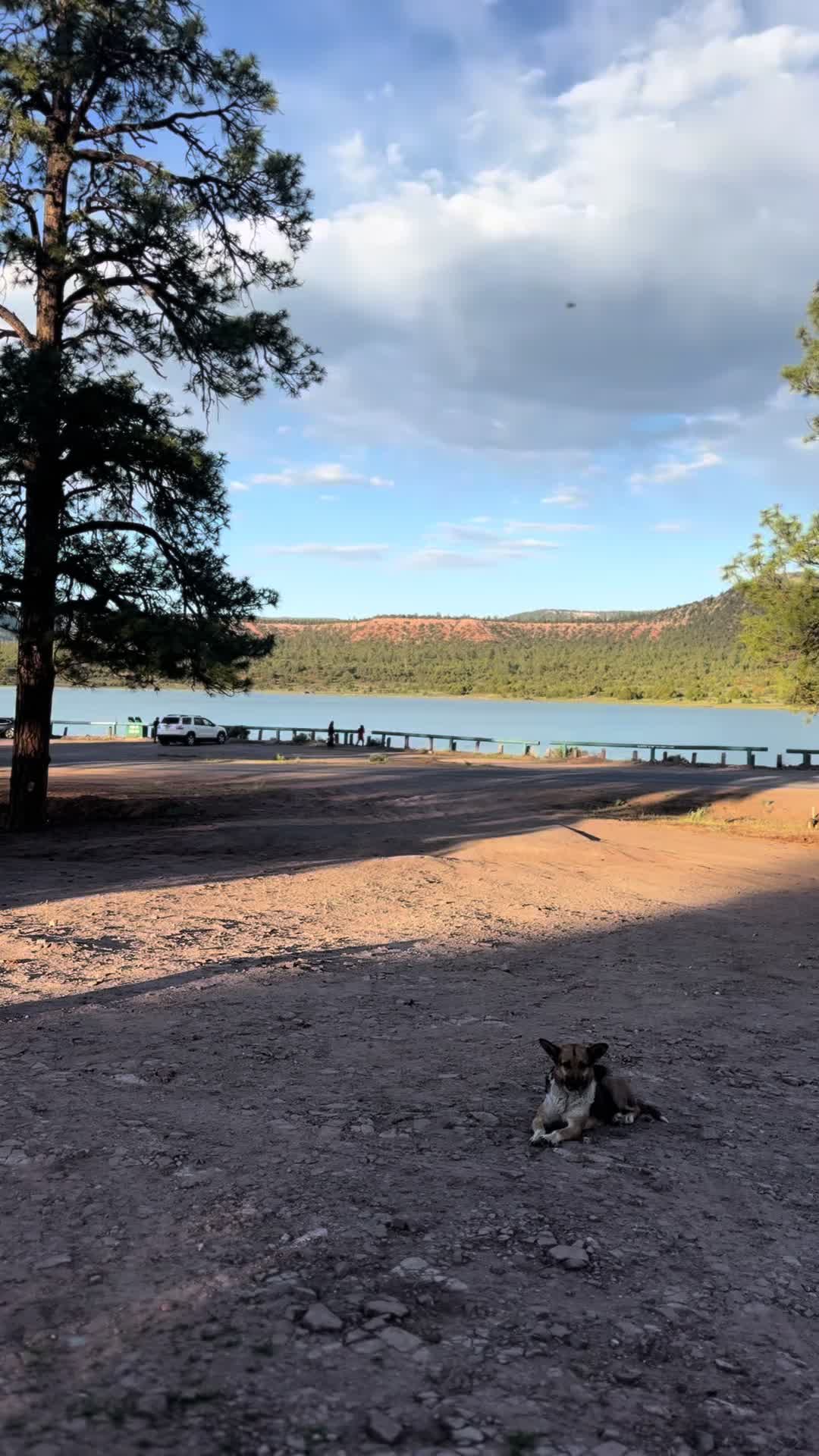 @Navajo Man