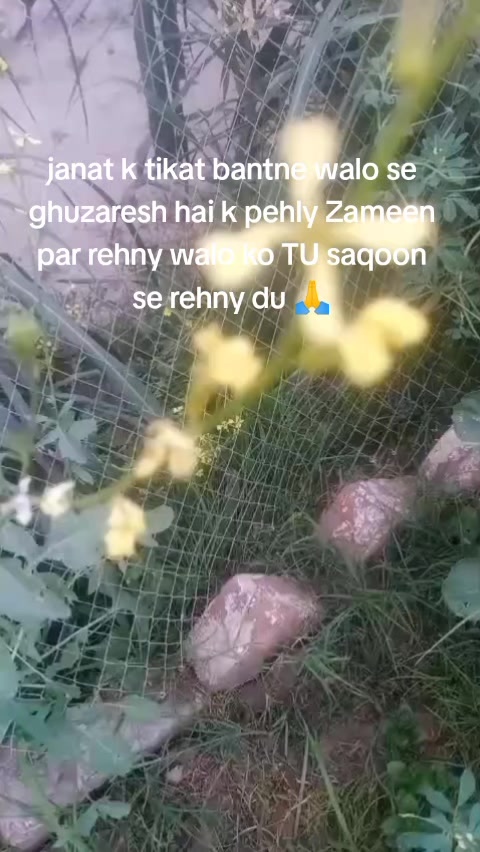 @Heer khanii 💕💖