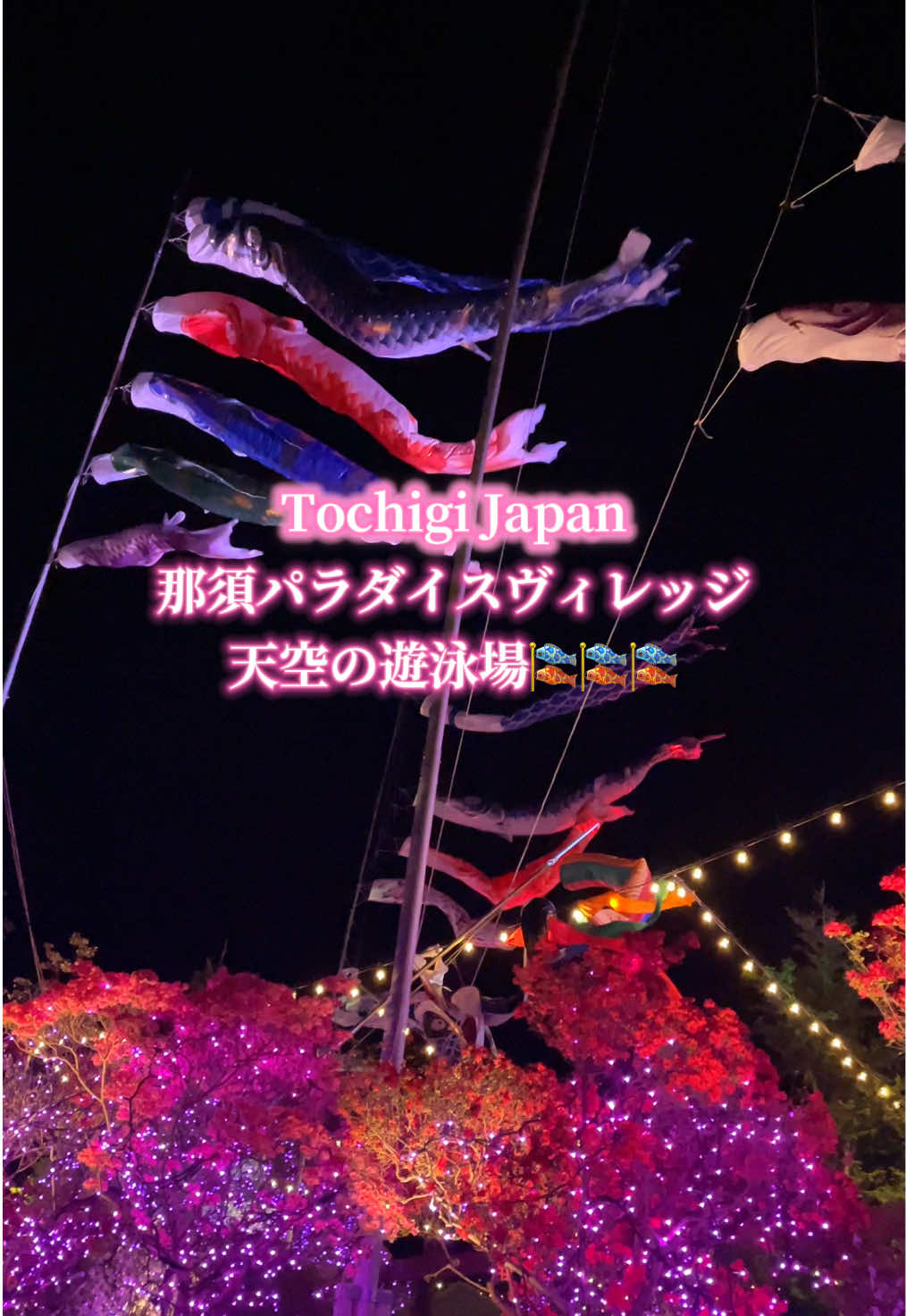 @paぱぱすtyle