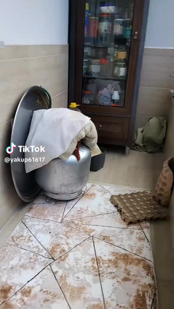 @Atakan 8154