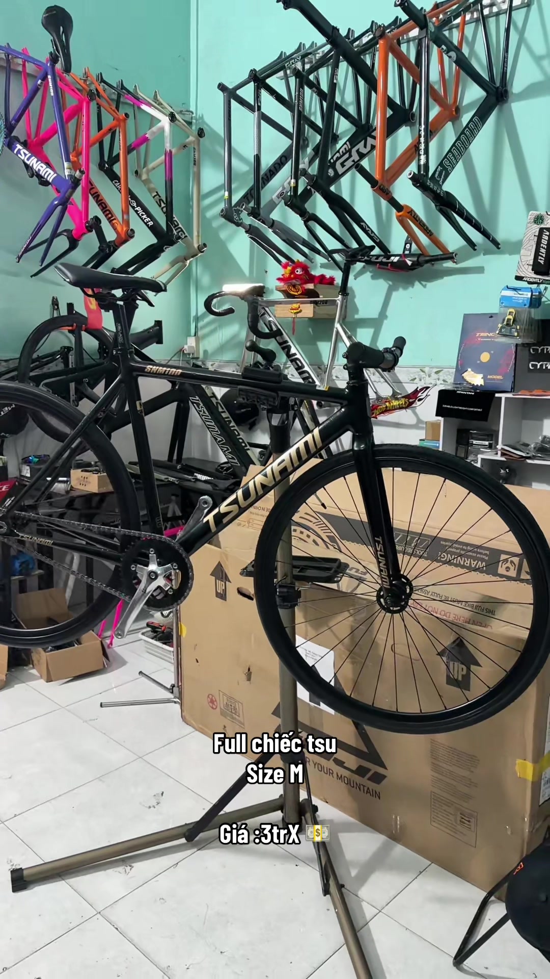 @Fixed Gear No1