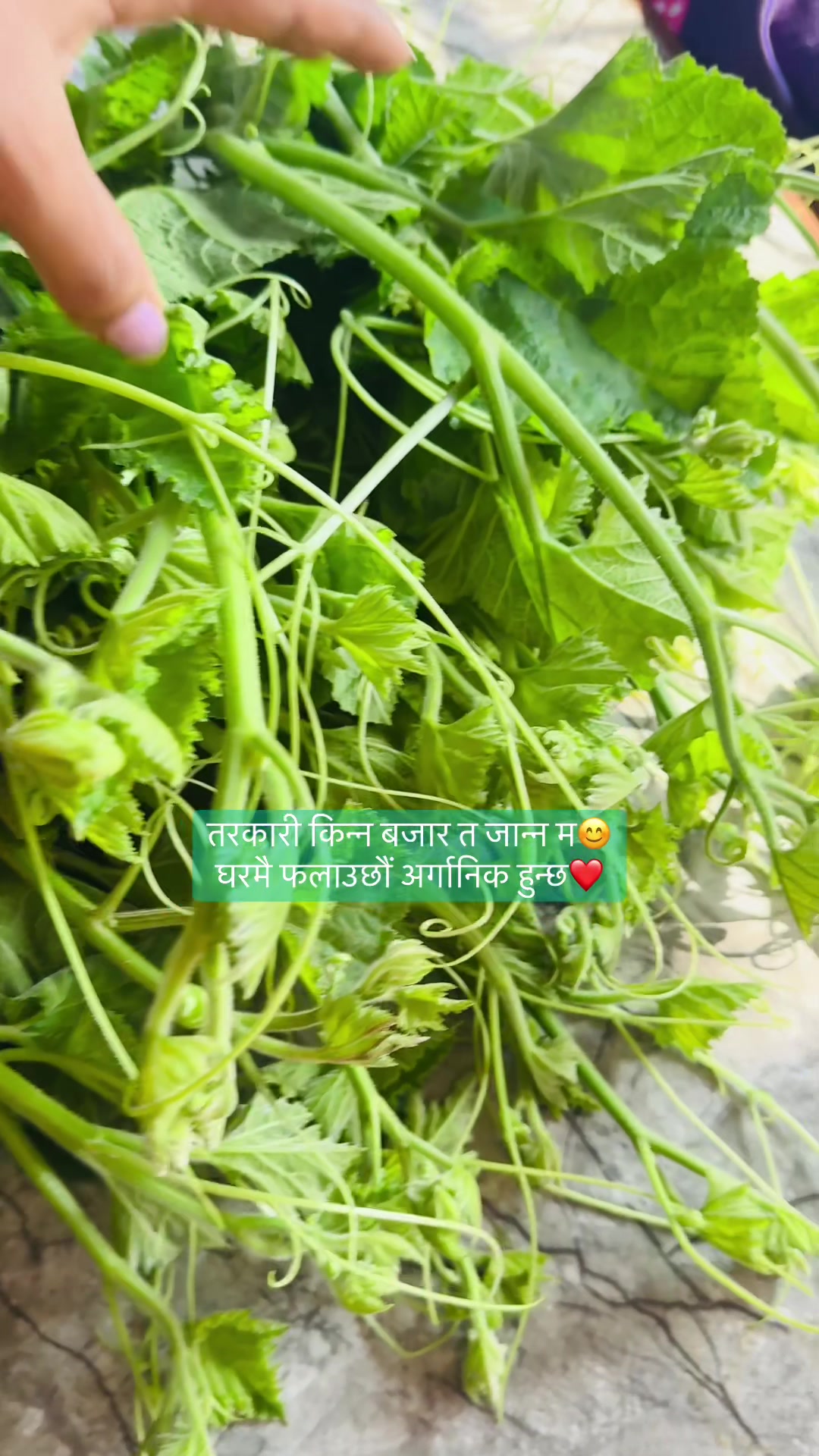 @Ritu Thapa