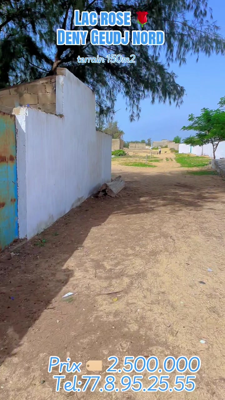 @Sénégal dakar habitat 🇸🇳