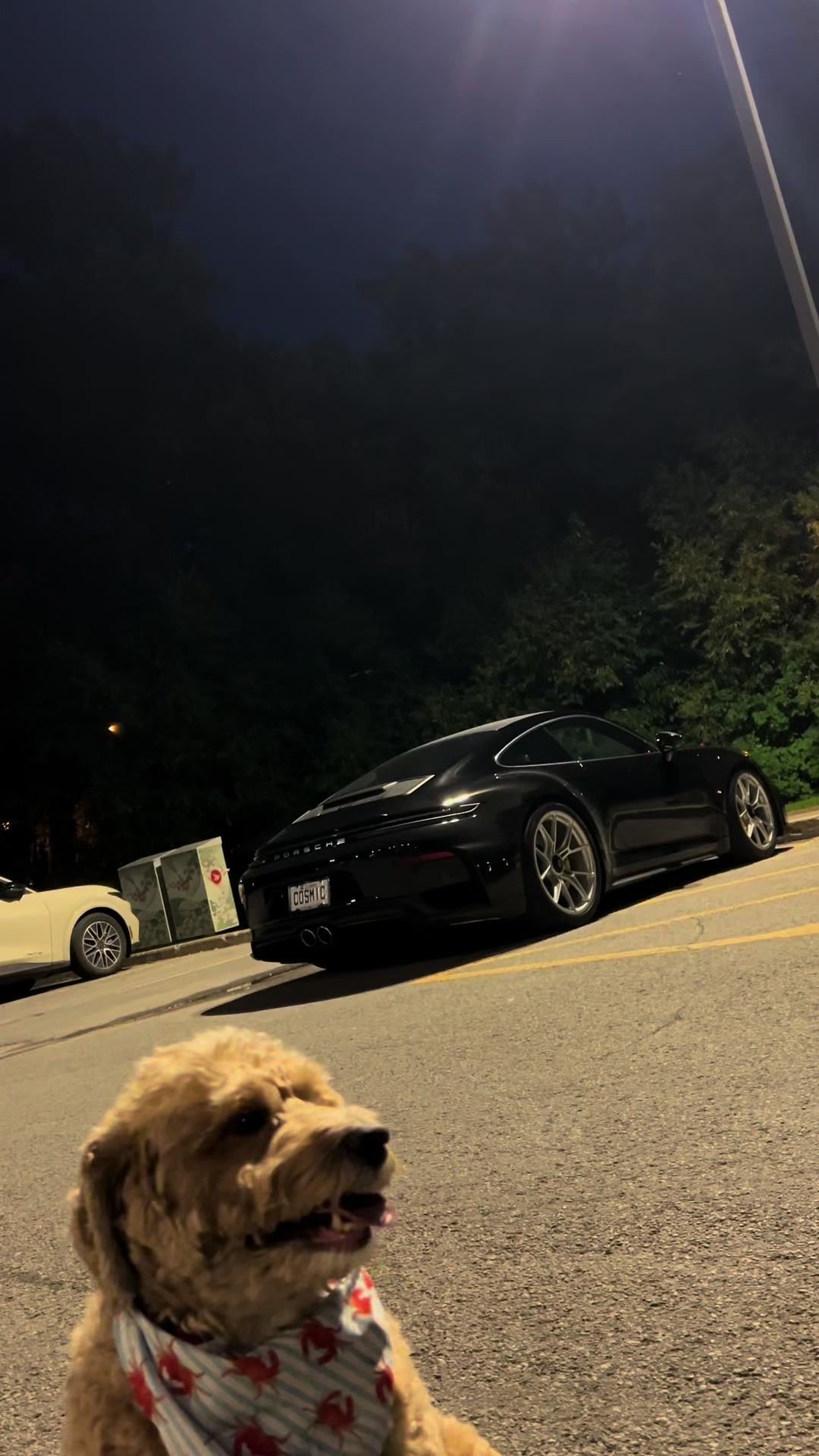 @brando.spotts👍
