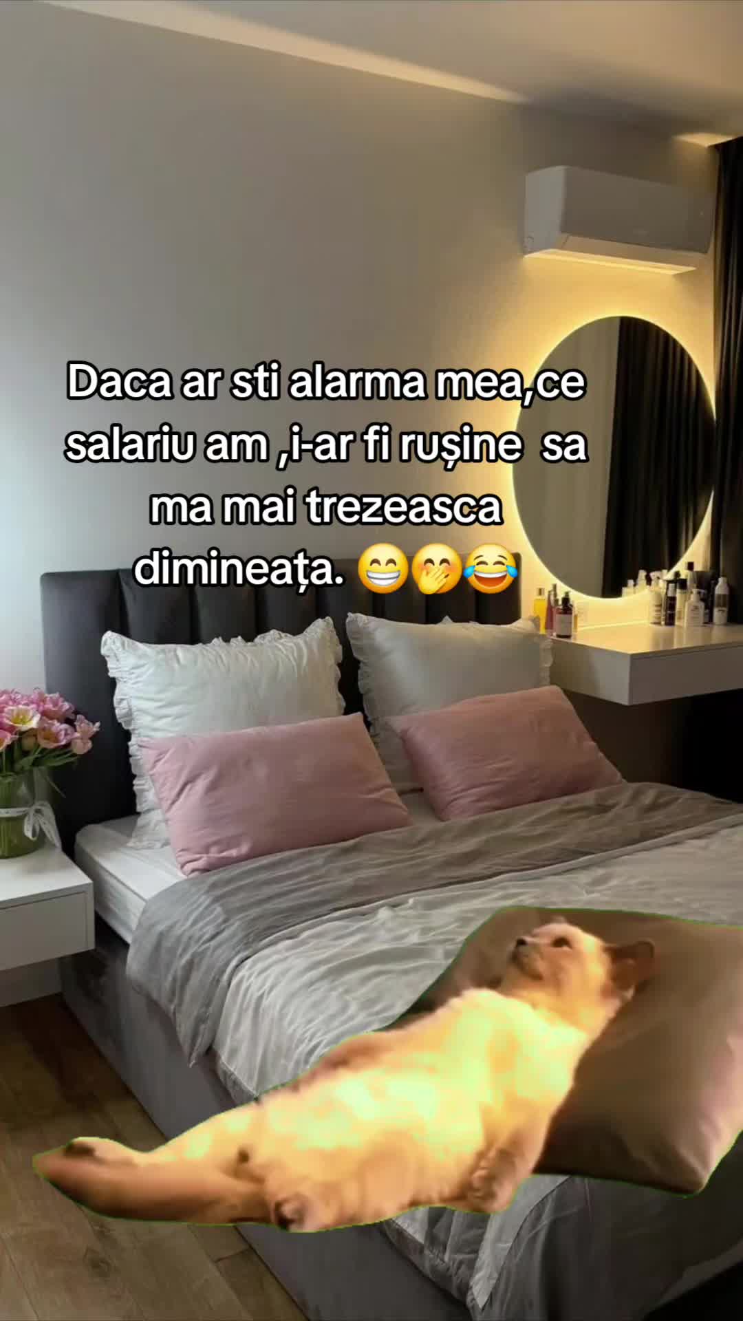 @Pastila de Râs😂