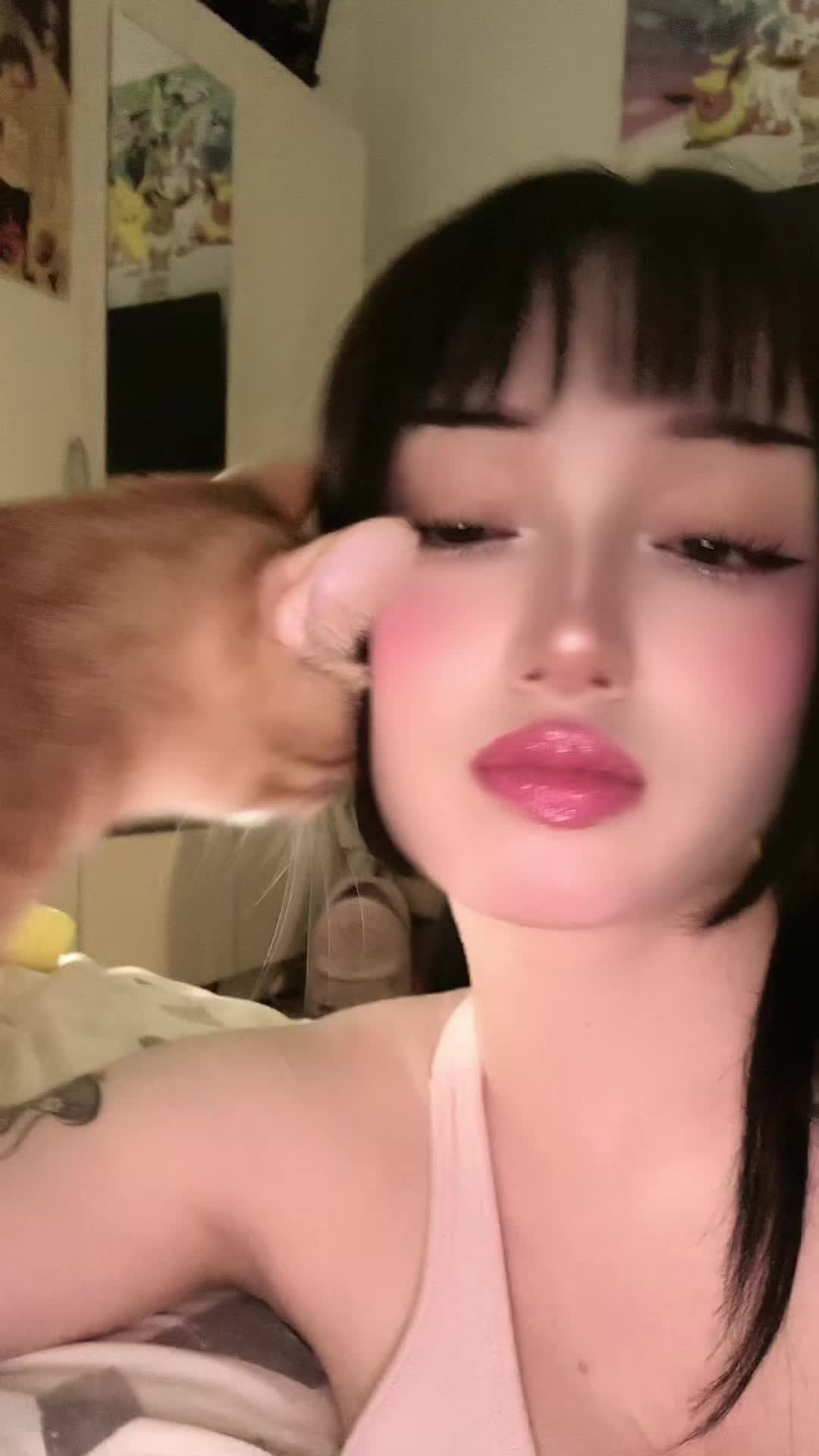 @Mirayong 🐈&zwj;⬛