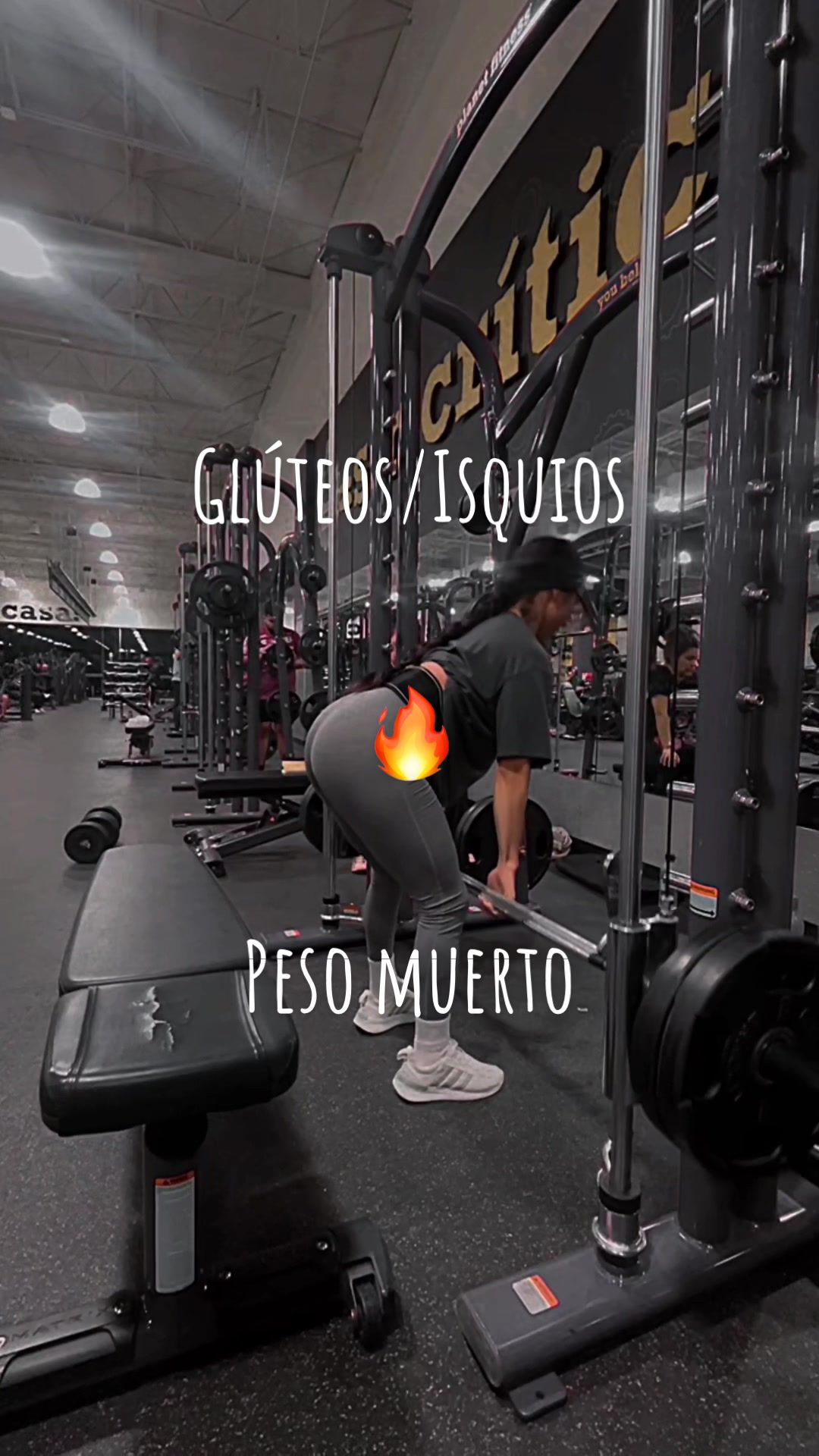 @Entrenando Gym
