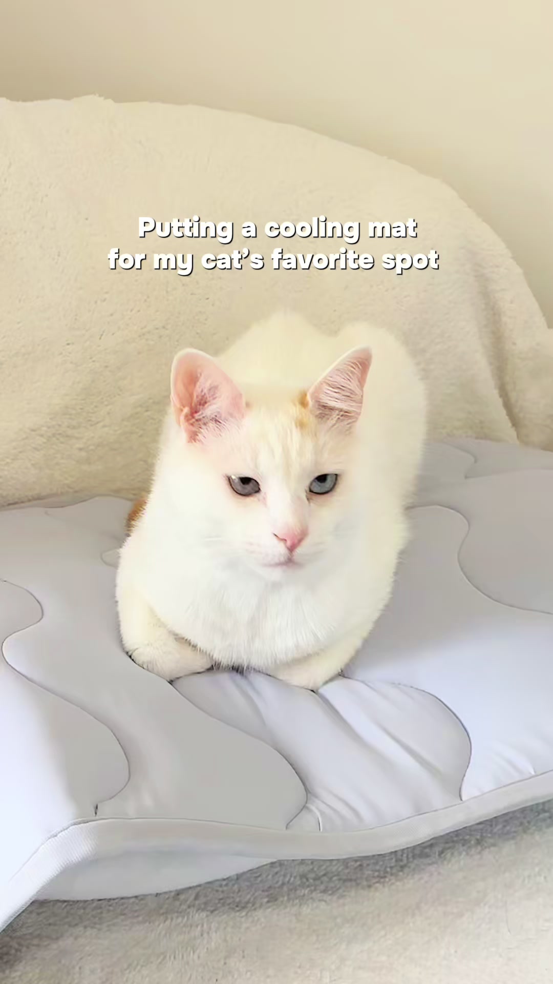 @Meg🫧