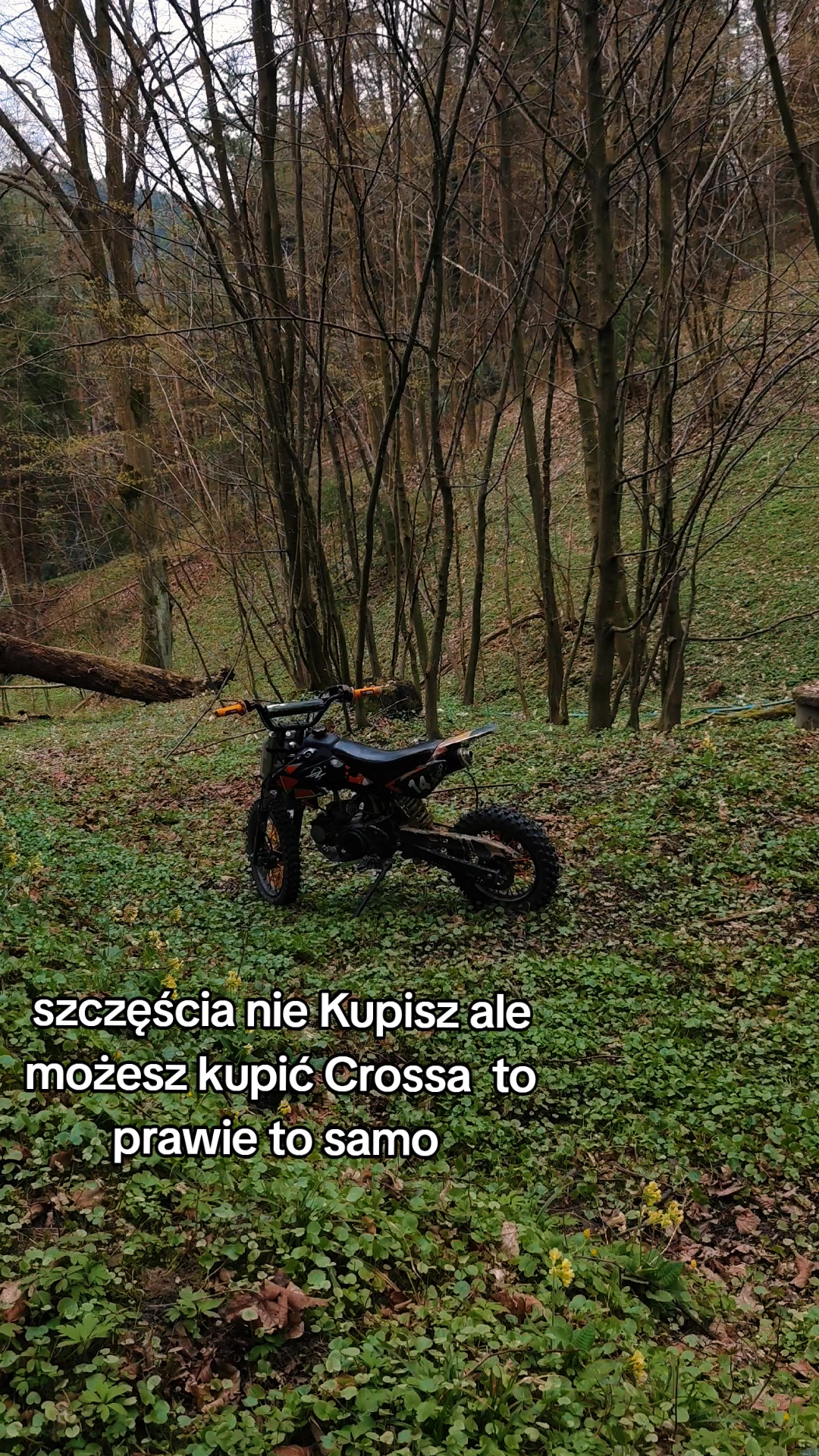 @👍🏻
