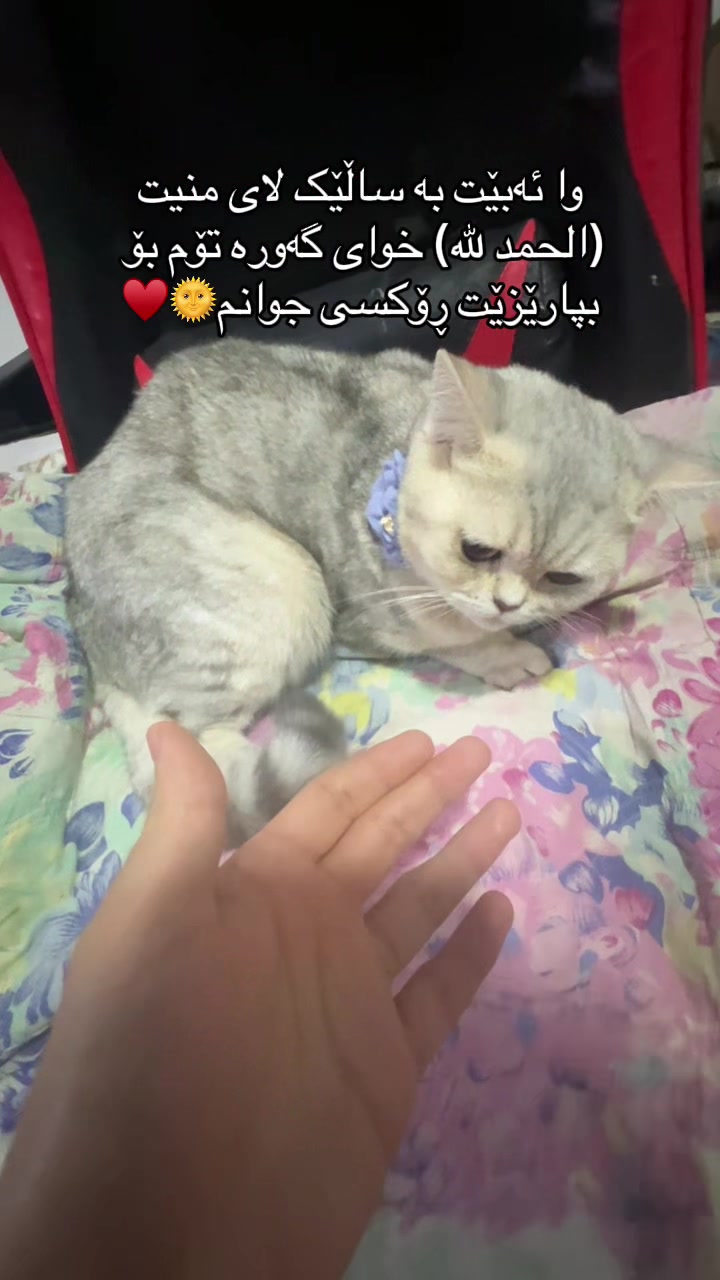 @R&rsquo;&rsquo;🌞♾️