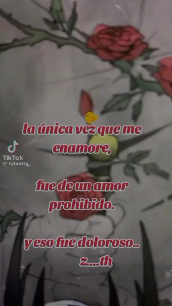 @user05888382525