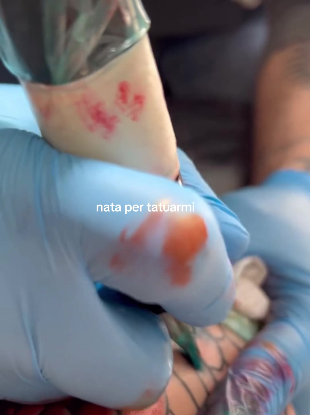 @annalisa longone