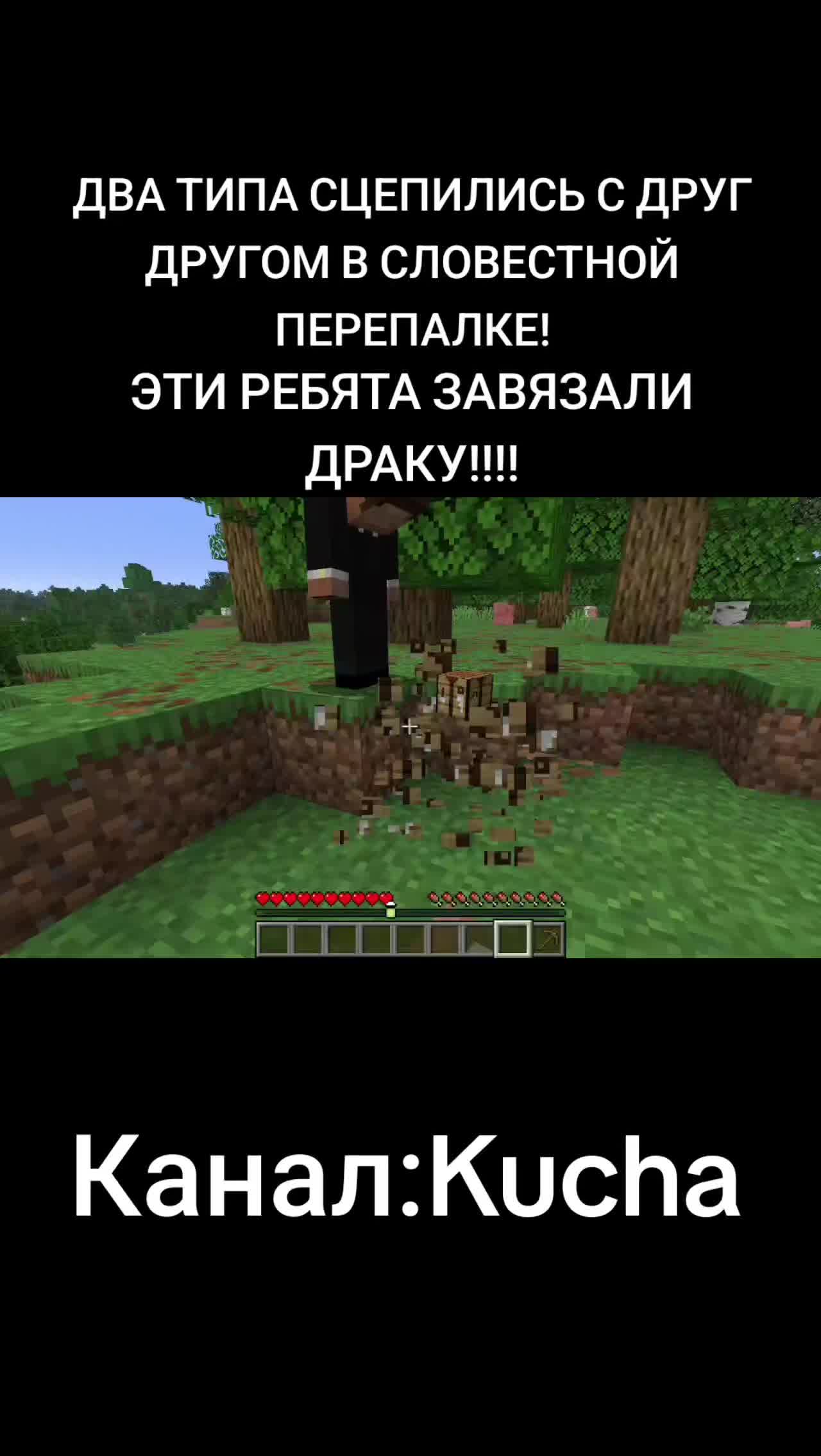 @svinina