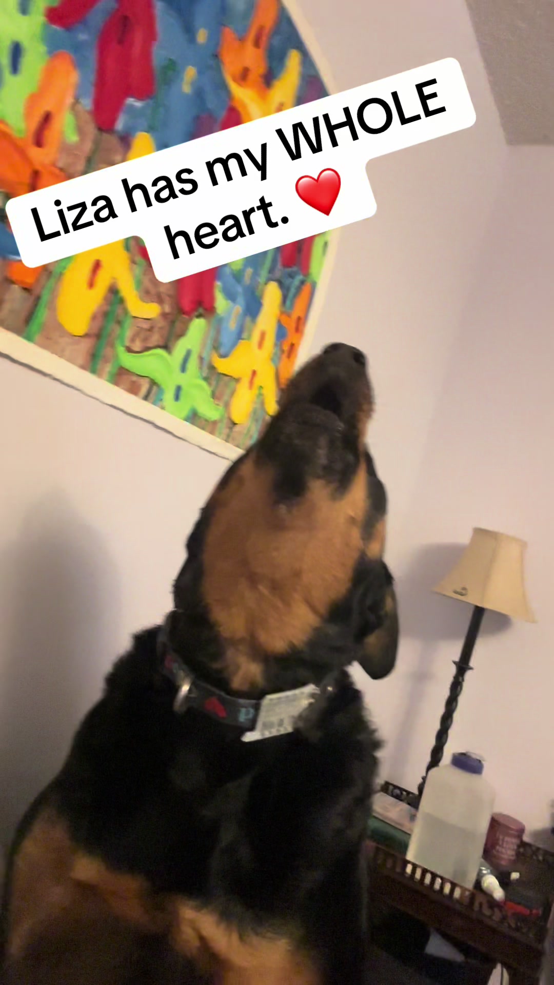 @Crazy Dog Lady